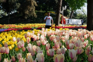 Tulip Garden Turki